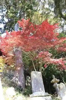 一乗寺(兵庫県)