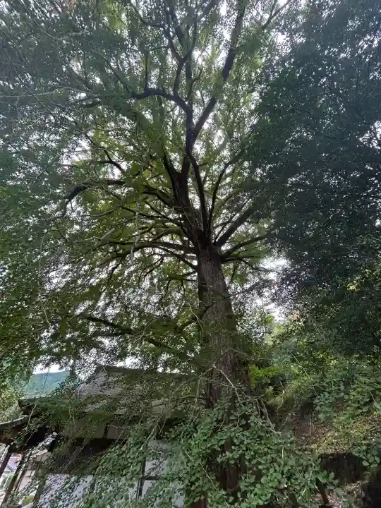 天河大辨財天社(奈良県)