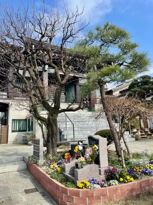 真英寺の{uncategorized: "未分類", other: "その他", undefined: "問題あり", building: "その他建物", grave: "お墓", sacred_gate: "鳥居", guardian: "狛犬", statue: "像", buddha: "仏像", history: "歴史", nature: "自然", garden: "庭園", animal: "動物", pagoda: "塔", temizu: "手水舎", mountain_gate: "山門・神門", sanctuary: "本殿・本堂", subordinate: "末社・摂社", art: "芸術", scenery: "景色", jizo: "地蔵", ema: "絵馬", goshuin: "御朱印", omikuji: "おみくじ", items: "授与品その他", amulet: "お守り", goshuincho: "御朱印帳", eats: "食事", festival: "お祭り", votive_dance: "神楽", shichigosan: "七五三参", wedding: "結婚式", experience: "体験その他", initially: "初詣", around: "周辺", anti_infection: "感染症対策"}