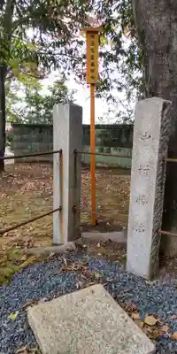 大藤神社(京都府)