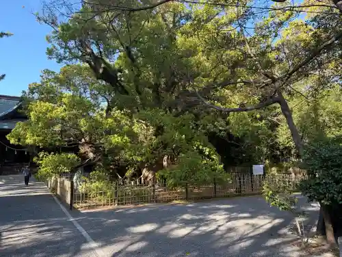 浜松八幡宮の{uncategorized: "未分類", other: "その他", undefined: "問題あり", building: "その他建物", grave: "お墓", sacred_gate: "鳥居", guardian: "狛犬", statue: "像", buddha: "仏像", history: "歴史", nature: "自然", garden: "庭園", animal: "動物", pagoda: "塔", temizu: "手水舎", mountain_gate: "山門・神門", sanctuary: "本殿・本堂", subordinate: "末社・摂社", art: "芸術", scenery: "景色", jizo: "地蔵", ema: "絵馬", goshuin: "御朱印", omikuji: "おみくじ", items: "授与品その他", amulet: "お守り", goshuincho: "御朱印帳", eats: "食事", festival: "お祭り", votive_dance: "神楽", shichigosan: "七五三参", wedding: "結婚式", experience: "体験その他", initially: "初詣", around: "周辺", anti_infection: "感染症対策"}
