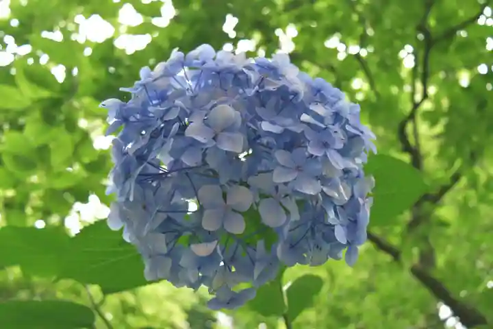 正安寺(神奈川県)