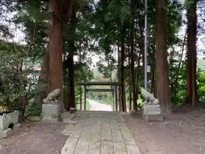 八坂神社の狛犬