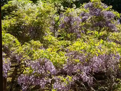 長慶院(京都府)