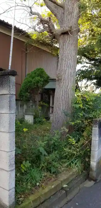 戸ヶ崎稲荷大明神の自然