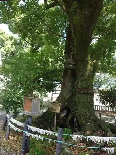 細江神社(静岡県)