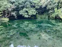 涌釜神社(栃木県)