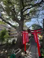 大福生寺の{uncategorized: "未分類", other: "その他", undefined: "問題あり", building: "その他建物", grave: "お墓", sacred_gate: "鳥居", guardian: "狛犬", statue: "像", buddha: "仏像", history: "歴史", nature: "自然", garden: "庭園", animal: "動物", pagoda: "塔", temizu: "手水舎", mountain_gate: "山門・神門", sanctuary: "本殿・本堂", subordinate: "末社・摂社", art: "芸術", scenery: "景色", jizo: "地蔵", ema: "絵馬", goshuin: "御朱印", omikuji: "おみくじ", items: "授与品その他", amulet: "お守り", goshuincho: "御朱印帳", eats: "食事", festival: "お祭り", votive_dance: "神楽", shichigosan: "七五三参", wedding: "結婚式", experience: "体験その他", initially: "初詣", around: "周辺", anti_infection: "感染症対策"}