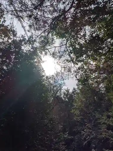 大縣神社の自然