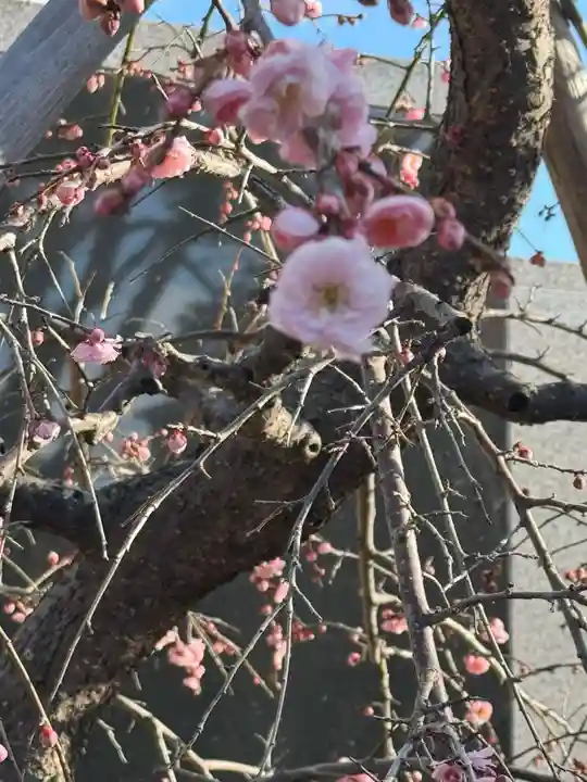 伊勢の国 四天王寺(三重県)