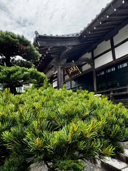 見河山 妙雲寺(京都府)