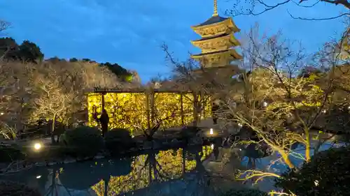 東寺（教王護国寺）(京都府)