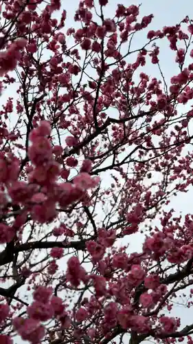 神前神社(岡山県)