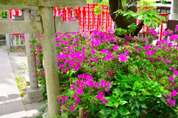 江東天祖神社(東京都)