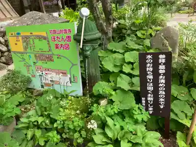 妙雲寺(栃木県)