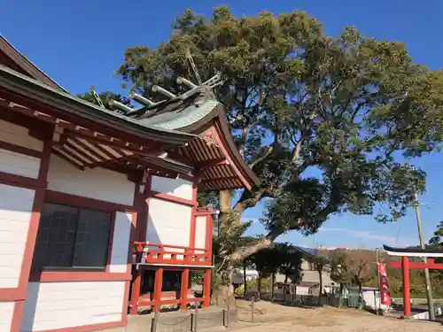 市来神社の本殿