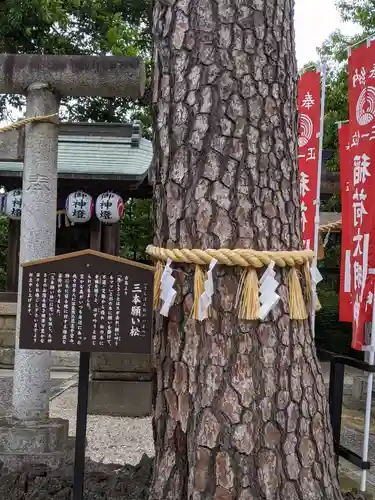 中野沼袋氷川神社のその他建物