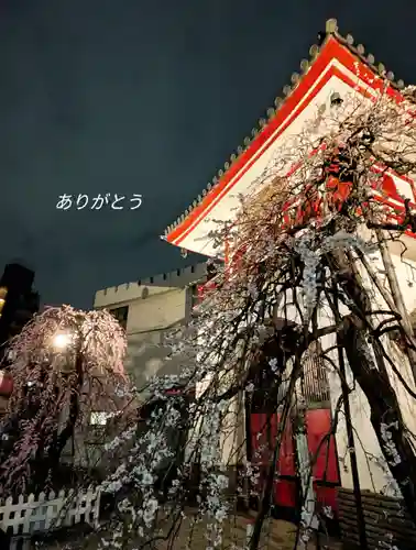 成願寺(東京都)