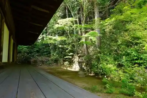 円成寺の庭園