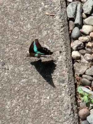 ときわ台天祖神社(東京都)