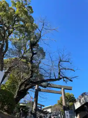 伊勢山皇大神宮(神奈川県)