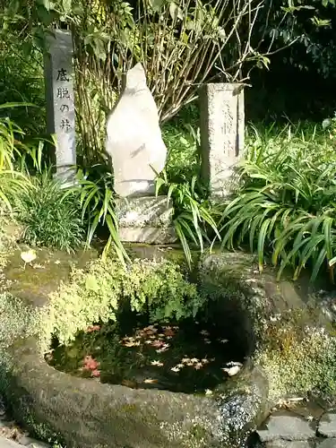 海蔵寺の庭園