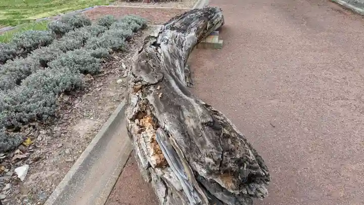 草分神社の歴史