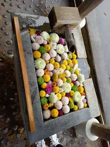  岳温泉神社 の手水