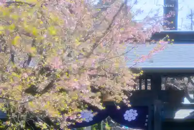 密藏院(埼玉県)