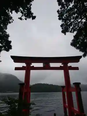 箱根神社の鳥居