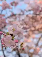 蓮華寺(東京都)