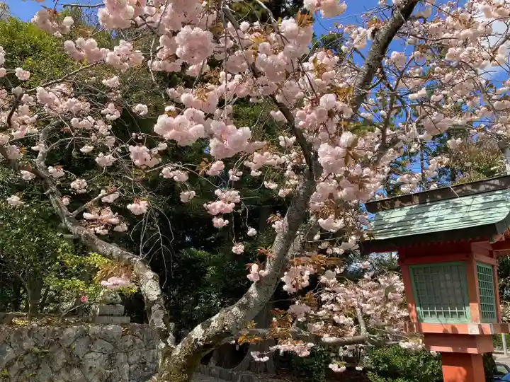 美濃國一宮 南宮大社の自然