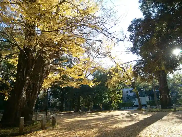 赤坂氷川神社(東京都)