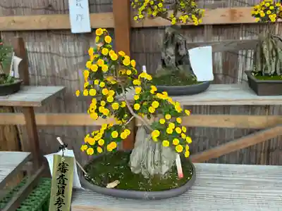 諏訪大社下社秋宮(長野県)