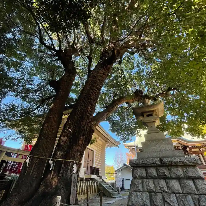 諏訪神社の自然