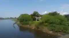 金村別雷神社の自然