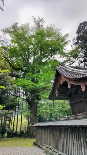 國吉神社(千葉県)