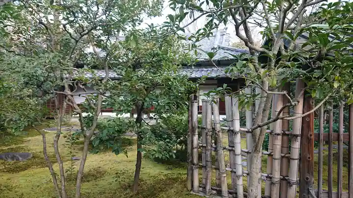 建仁寺(建仁禅寺)(京都府)