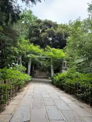 赤坂氷川神社の{uncategorized: "未分類", other: "その他", undefined: "問題あり", building: "その他建物", grave: "お墓", sacred_gate: "鳥居", guardian: "狛犬", statue: "像", buddha: "仏像", history: "歴史", nature: "自然", garden: "庭園", animal: "動物", pagoda: "塔", temizu: "手水舎", mountain_gate: "山門・神門", sanctuary: "本殿・本堂", subordinate: "末社・摂社", art: "芸術", scenery: "景色", jizo: "地蔵", ema: "絵馬", goshuin: "御朱印", omikuji: "おみくじ", items: "授与品その他", amulet: "お守り", goshuincho: "御朱印帳", eats: "食事", festival: "お祭り", votive_dance: "神楽", shichigosan: "七五三参", wedding: "結婚式", experience: "体験その他", initially: "初詣", around: "周辺", anti_infection: "感染症対策"}