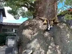 糸碕神社(広島県)