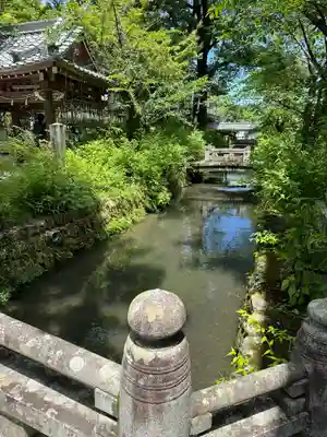 松尾大社(京都府)