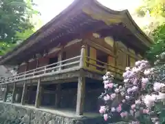 室生寺の本殿