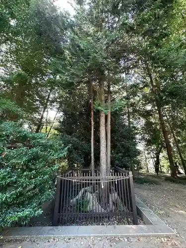 二宮神社(東京都)