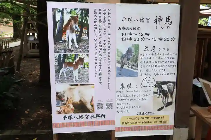 平塚八幡宮(神奈川県)