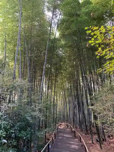 高台寺（高台寿聖禅寺・高臺寺）(京都府)