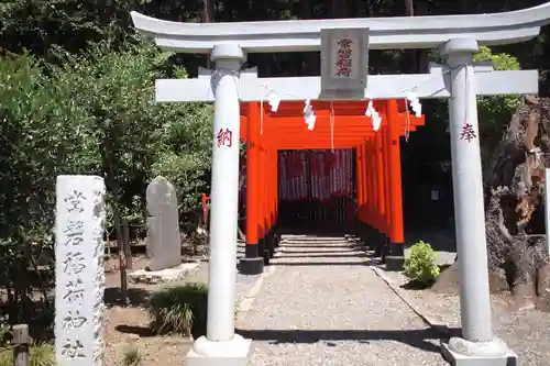 常磐神社の鳥居