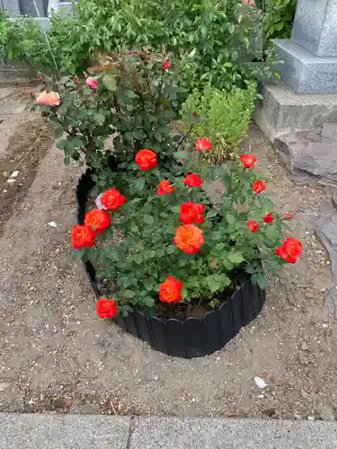 宝光寺(北海道)