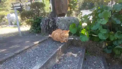 龍岳院(愛知県)
