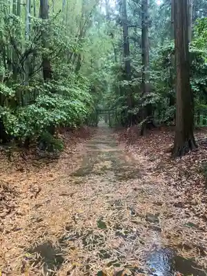 胎安神社(茨城県)
