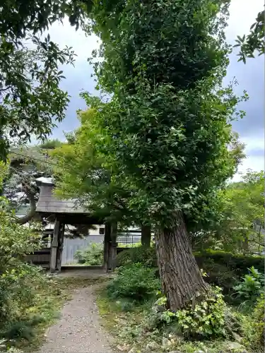 善徳寺(茨城県)